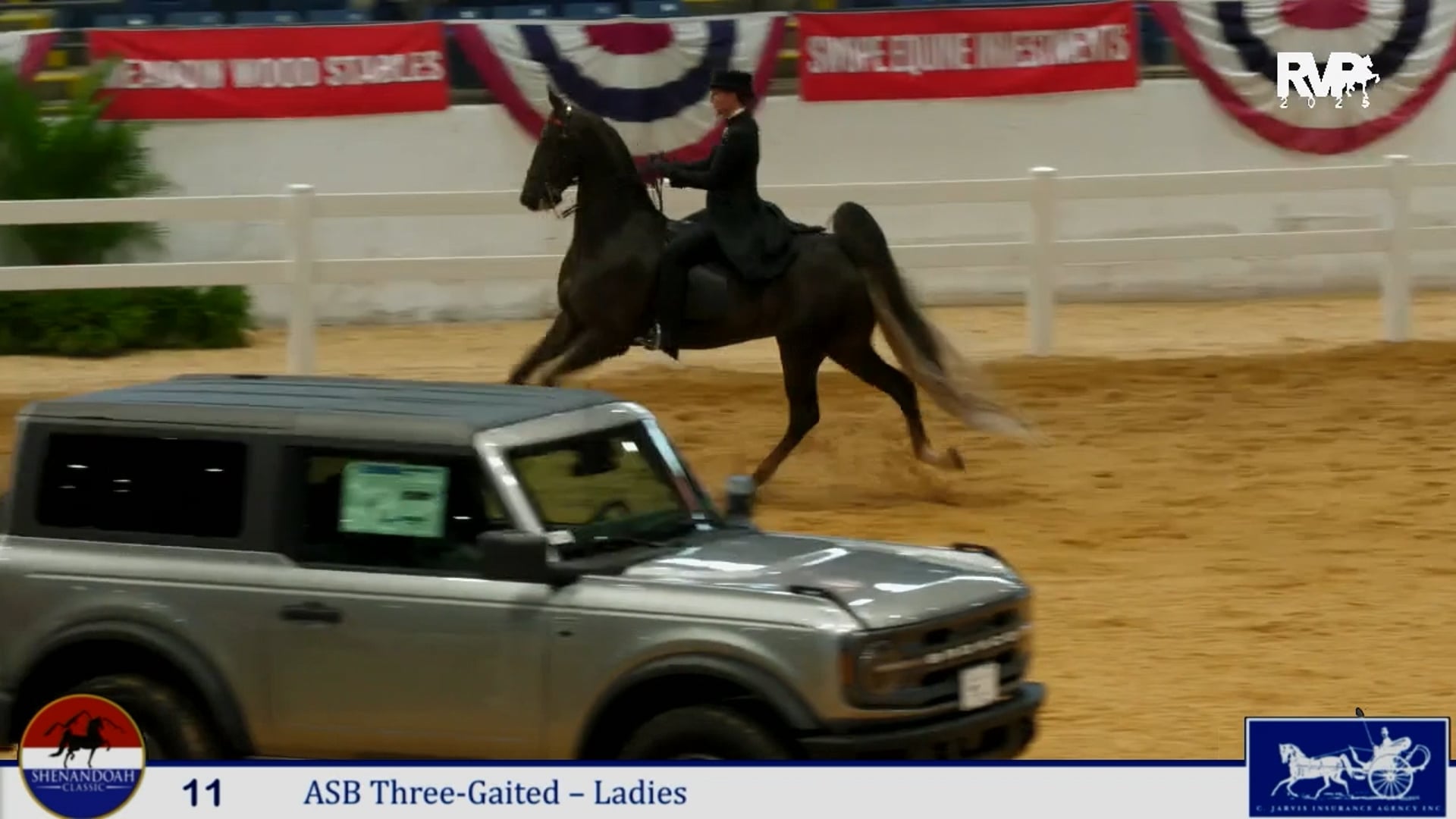 SC25 - Class 11 - ASB Three Gaited Ladies