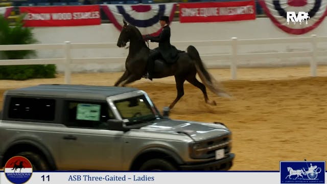 SC25 - Class 11 - ASB Three Gaited La...