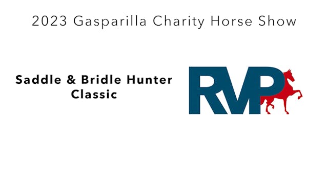 GASP23 - Class 107 - Saddle & Bridle ...
