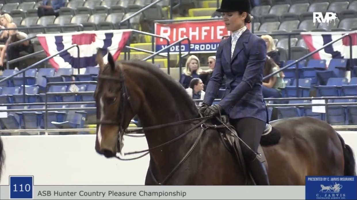 BB21 - Class 110 - ASB Hunter Country Pleasure Championship
