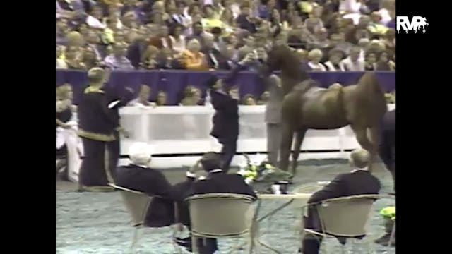 1999 WCHS - Class 220 Three Gaited Gr...