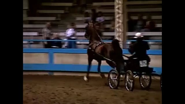 1999 Des Moines Spring Horse Show - J...