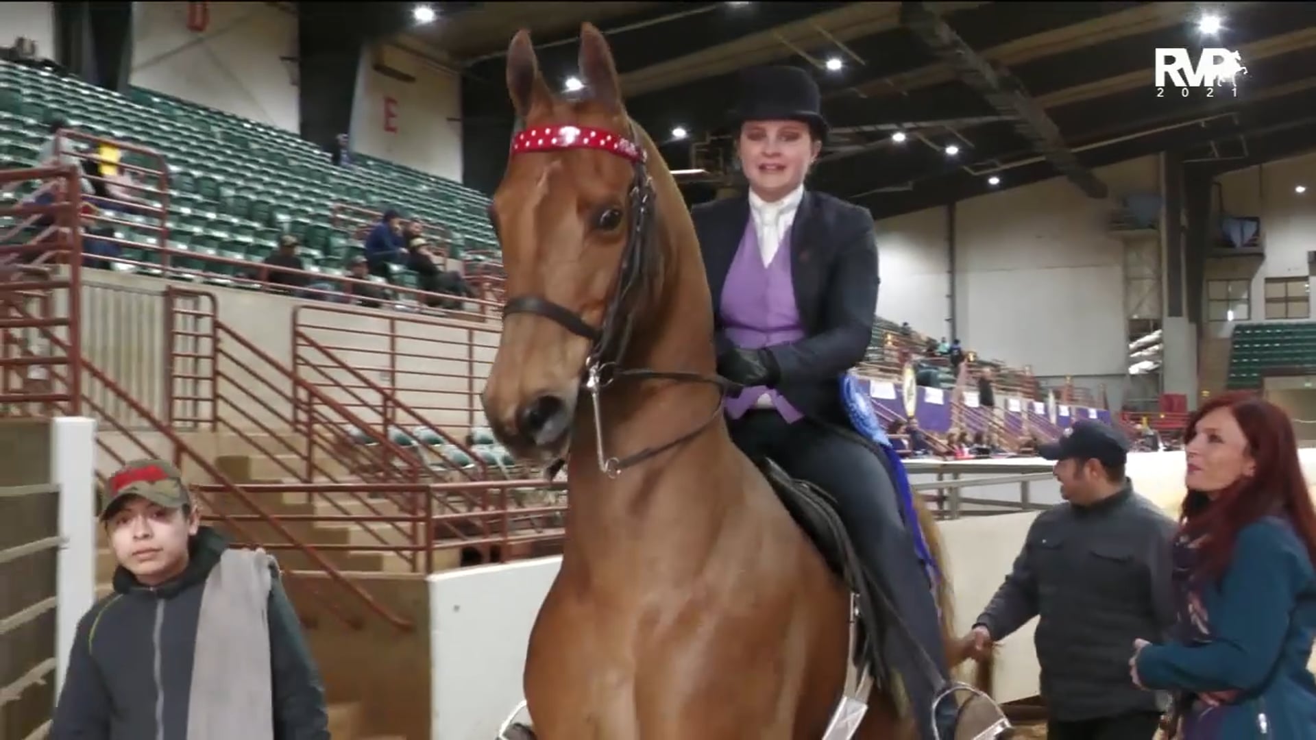 PA21 - Class 74 Five Gaited Pony