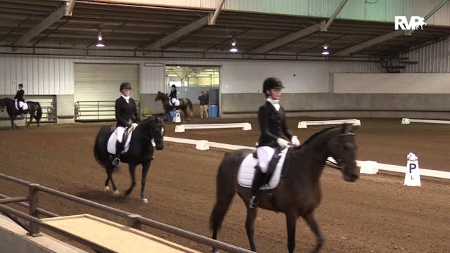 MGN19 - Class 501 - AMHA Dressage Sea...