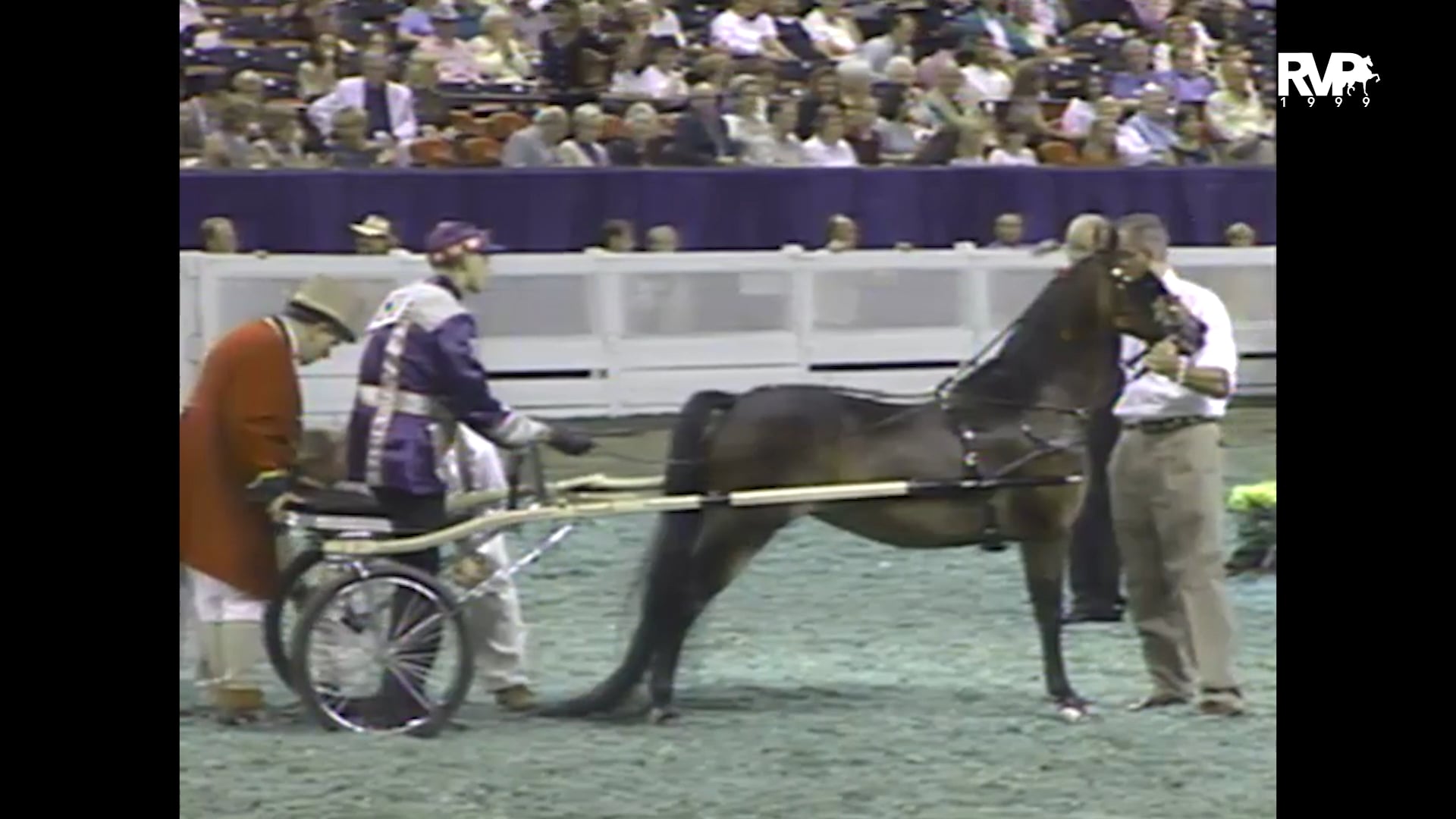 1999 WCHS - Class 144 Junior Exhibitor 14-17 Roadster Pony