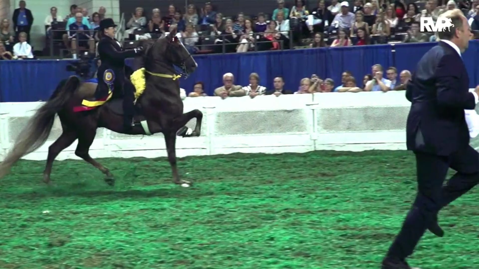 2020 Bonnie Blue Horse Show - Friday Evening