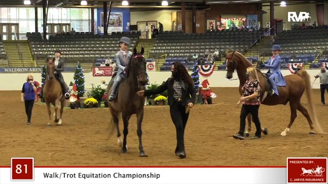 ASHAV 2020 - Class 81 WalkTrot Equit...