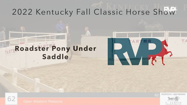 KYFC22 - Class 62 - Open Western Plea...