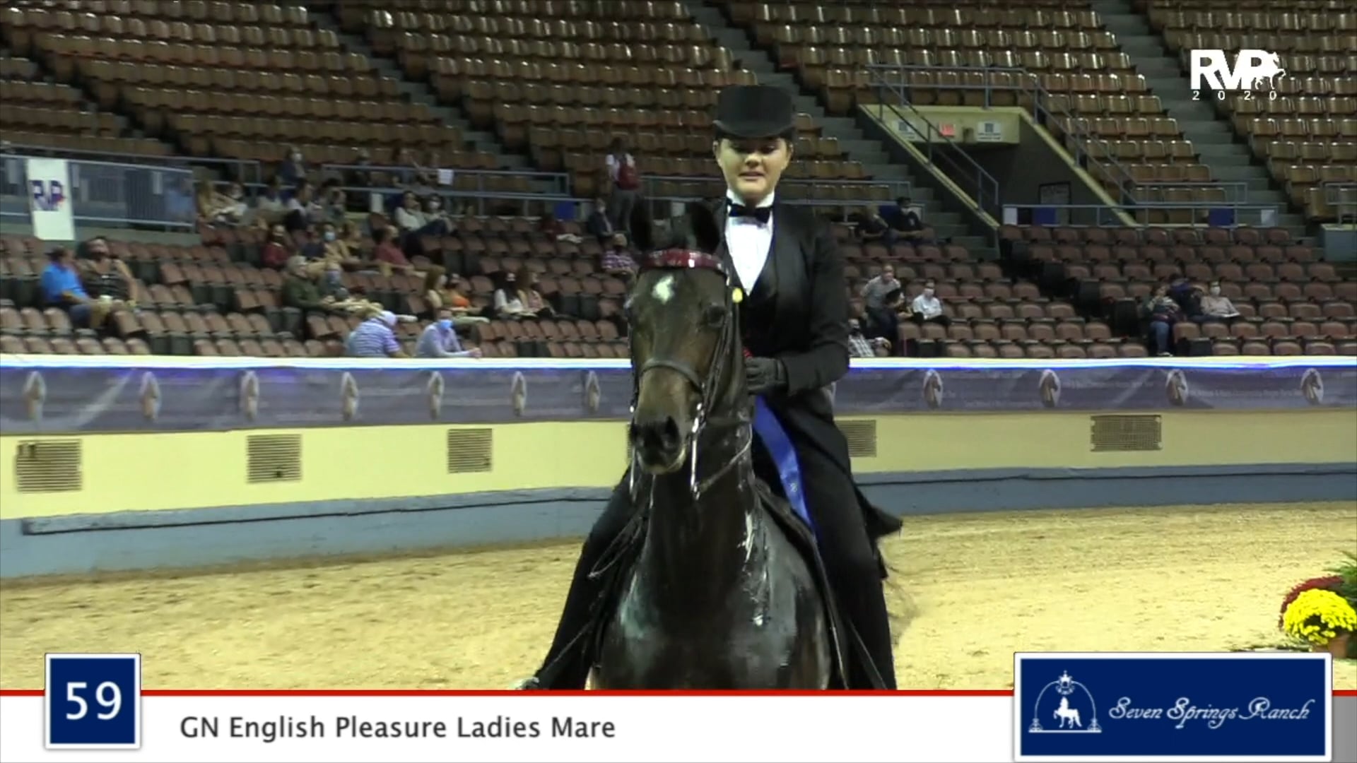 2020 MGN - Class 59 GN English Pleasure Ladies Mare