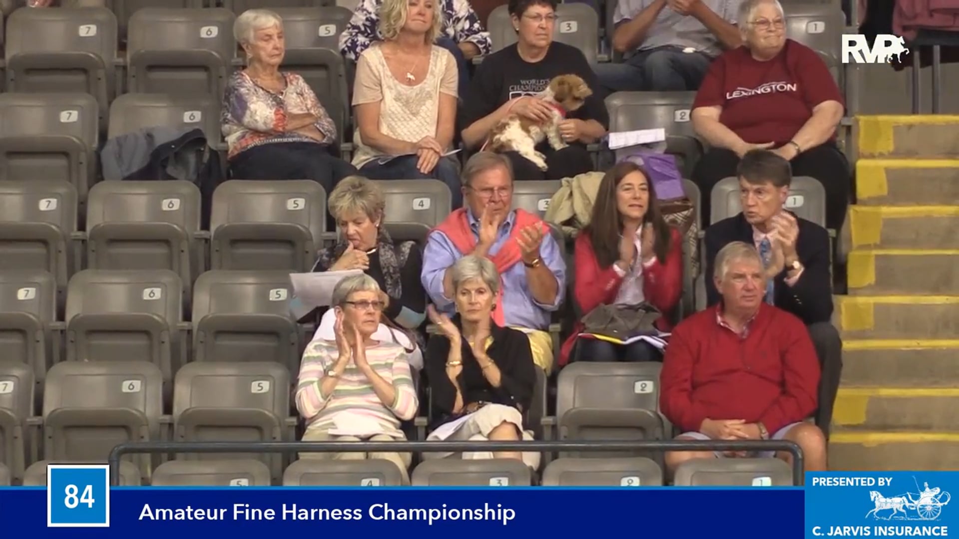 BB16 - Fine Harness Amateur Championship 