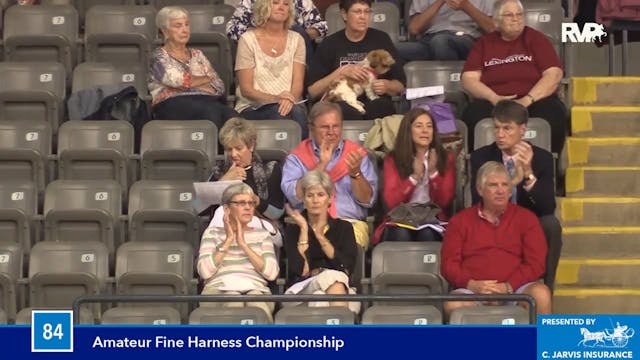 BB16 - Fine Harness Amateur Champions...