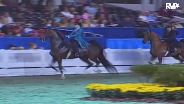 2009 World's Championship Horse Show ...