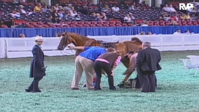 2009 World's Championship Horse Show ...