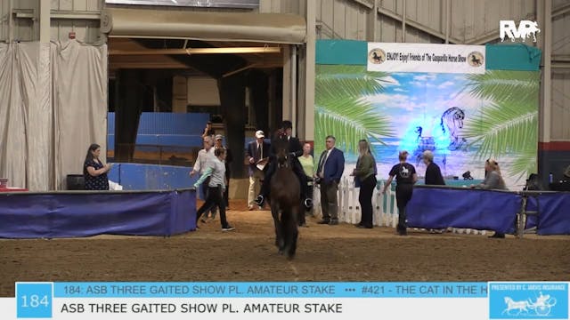 GASP23 - Class 184 - ASB Three Gaited...