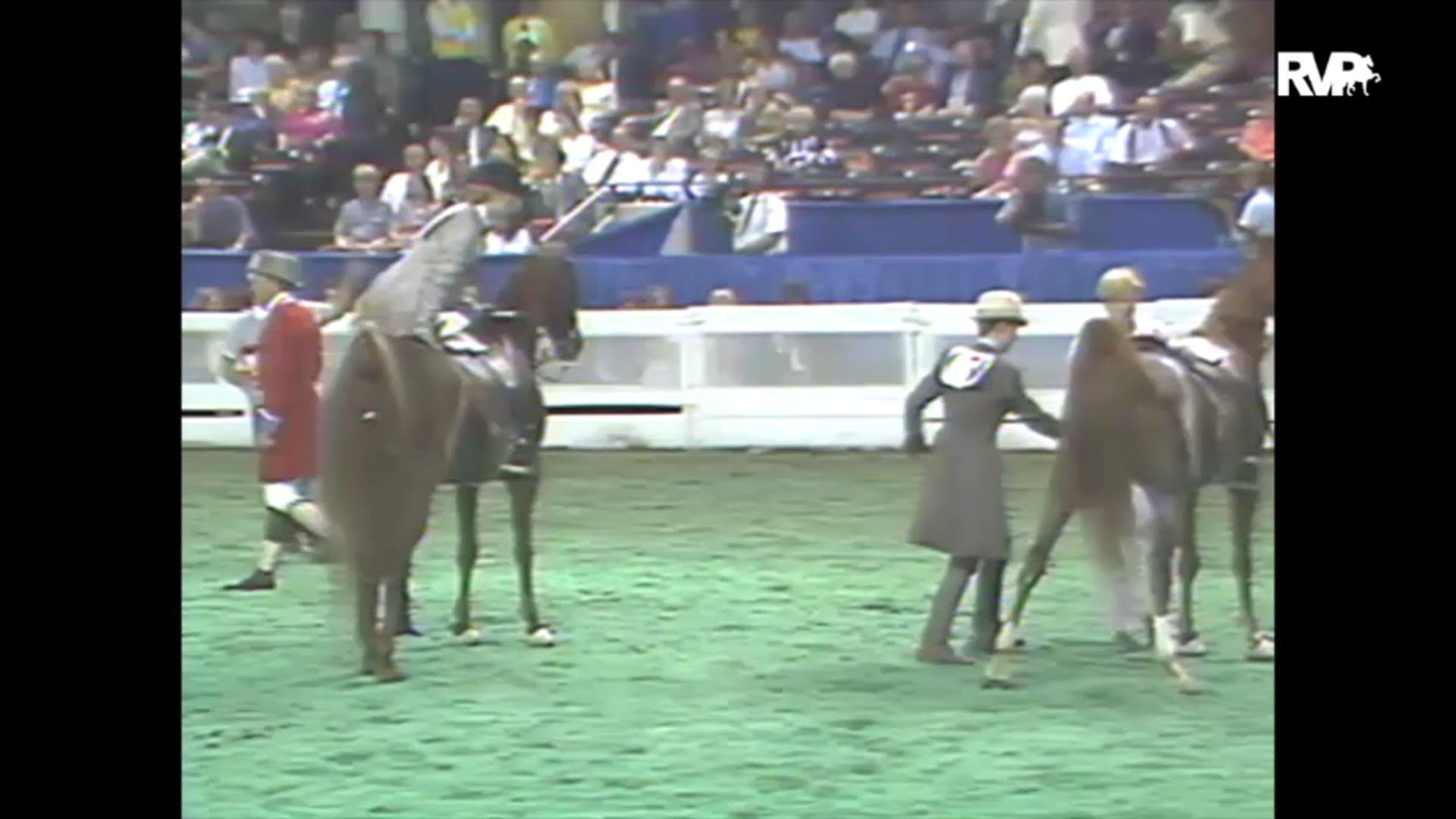 1993 WCHS Class 157 Five Gaited Pony Championship
