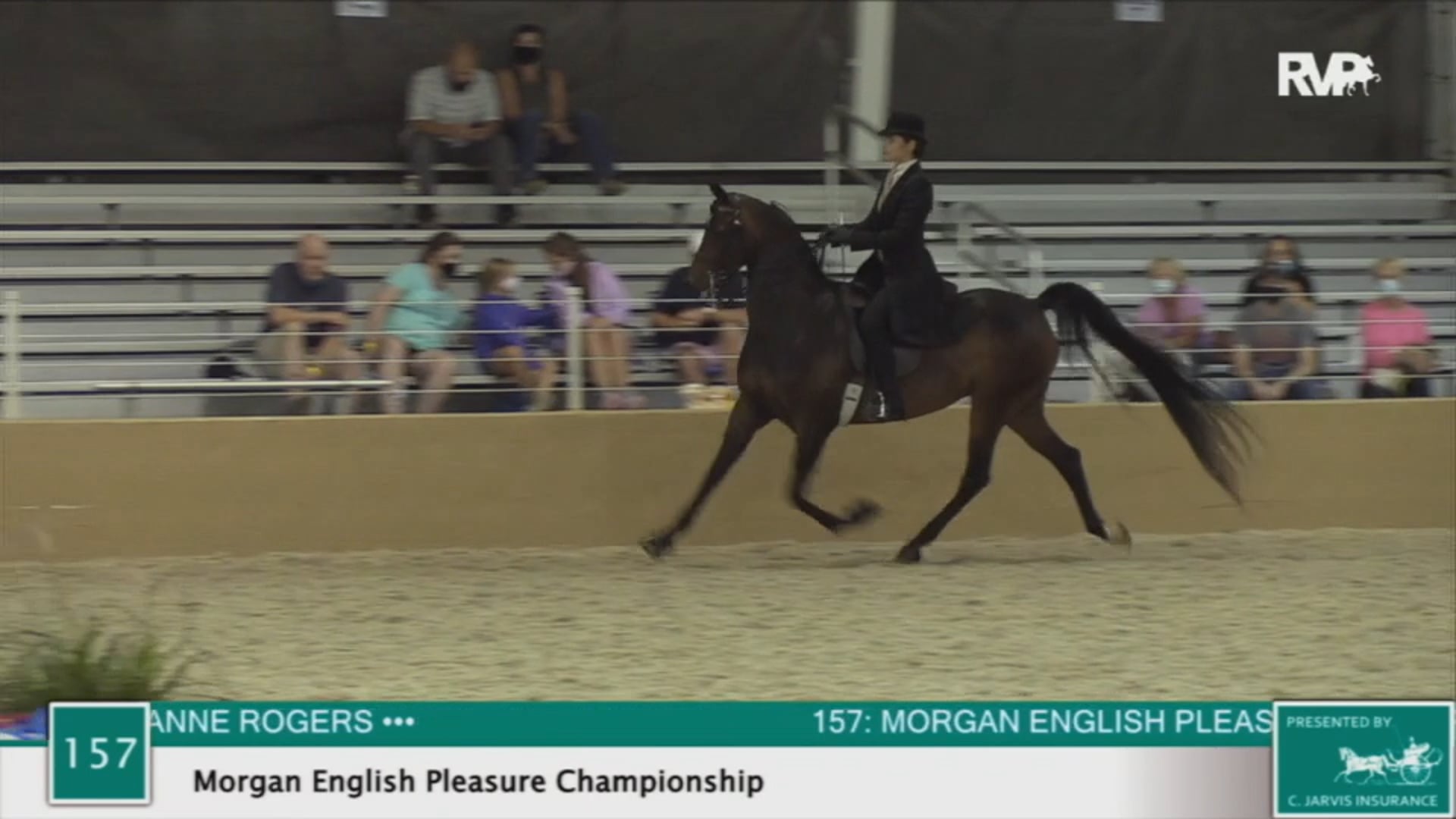 2020 BS - Class 157 Morgan English Pleasure
Championship