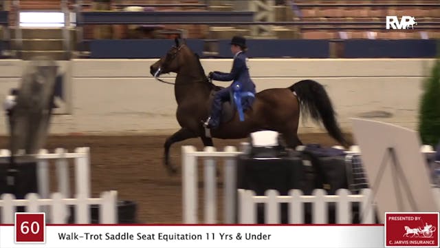 2020 JMHS - Class 60 Walk:Trot Saddle...