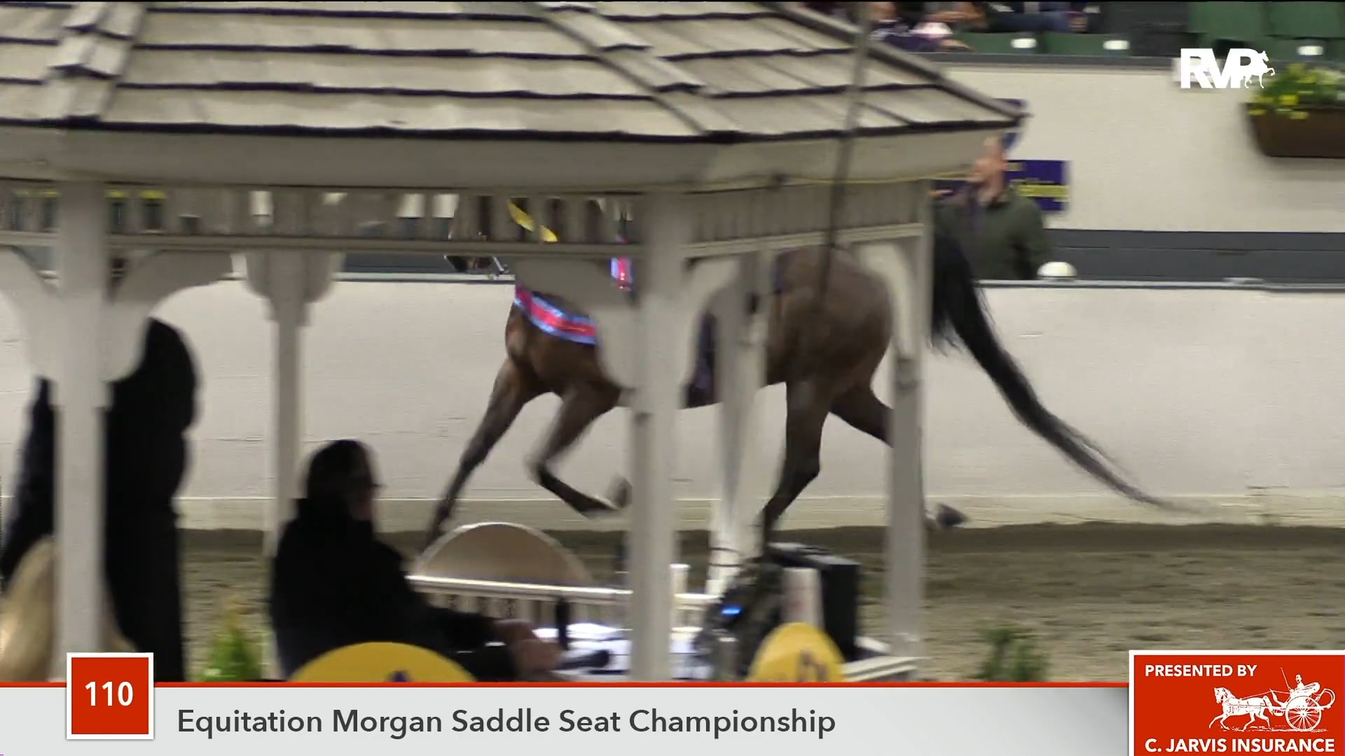 UPHA14-18 Class 110 Nicole Kaufman, up