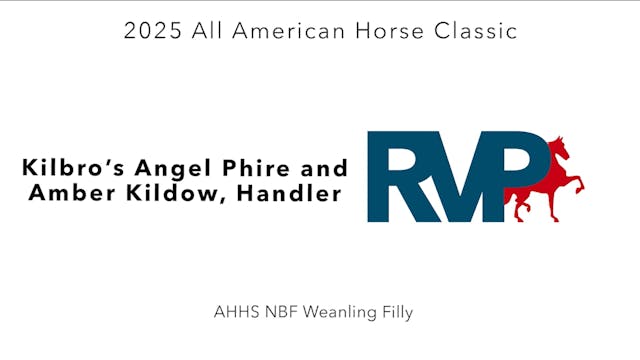 AAC25 - Class 108 - Kilbro's Angel Ph...