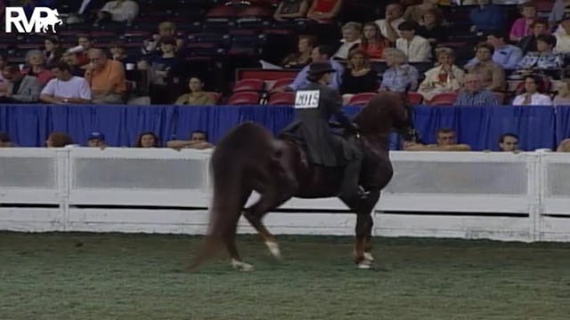 2004 World's Championship Horse Show ...