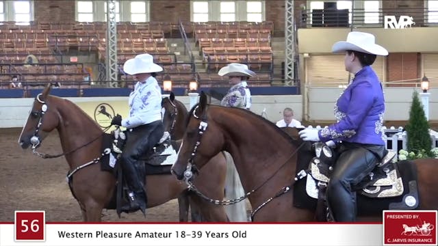 2020 JMHS - Class 56 Western Pleasure...