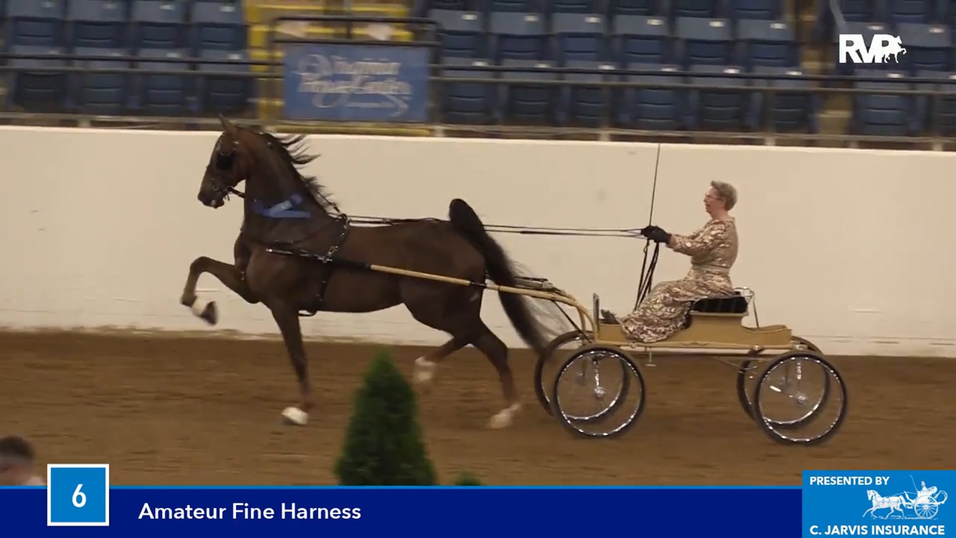 BB16 - Amateur Fine Harness