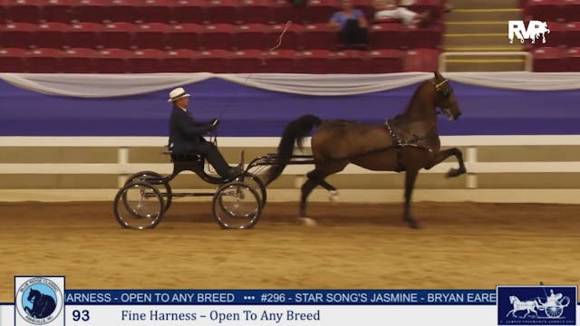 BRC25 - Class 93 - Fine Harness -Open...
