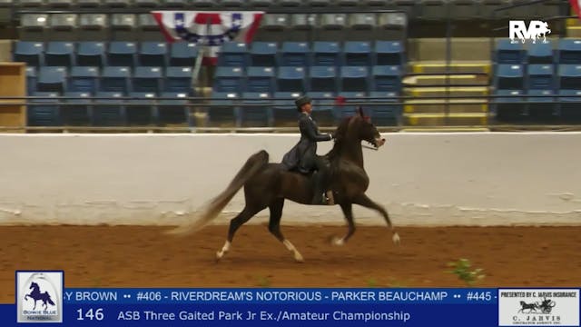 BB24 - Class 146 -  ASB Three Gaited ...