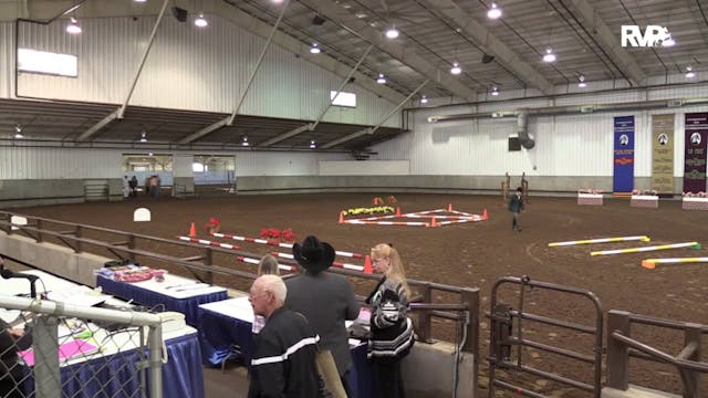 MGN15 - Sport Horse 1 - Tuesday - 10-...