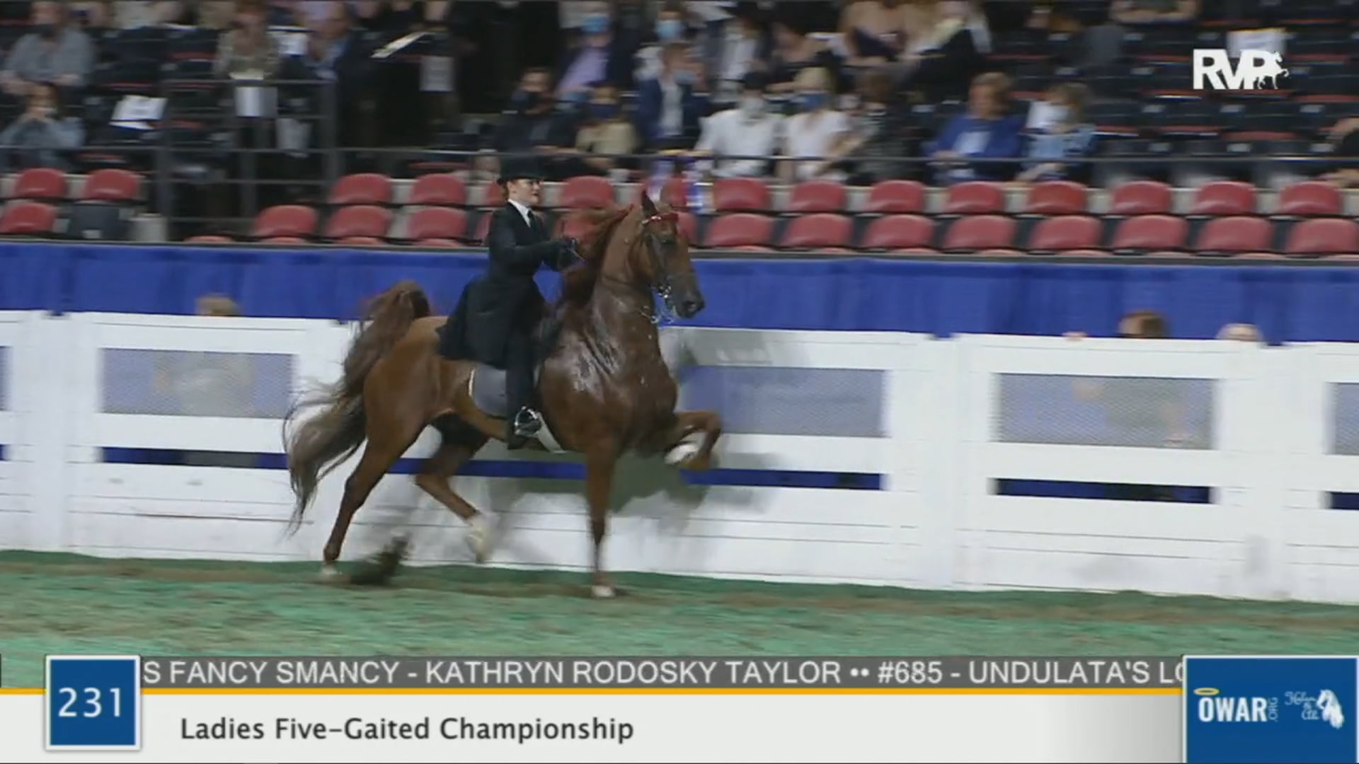 WCHS 2020 Class 231 - Ladies Five-Gaited Championship