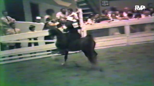 1983 WCHS - Starina