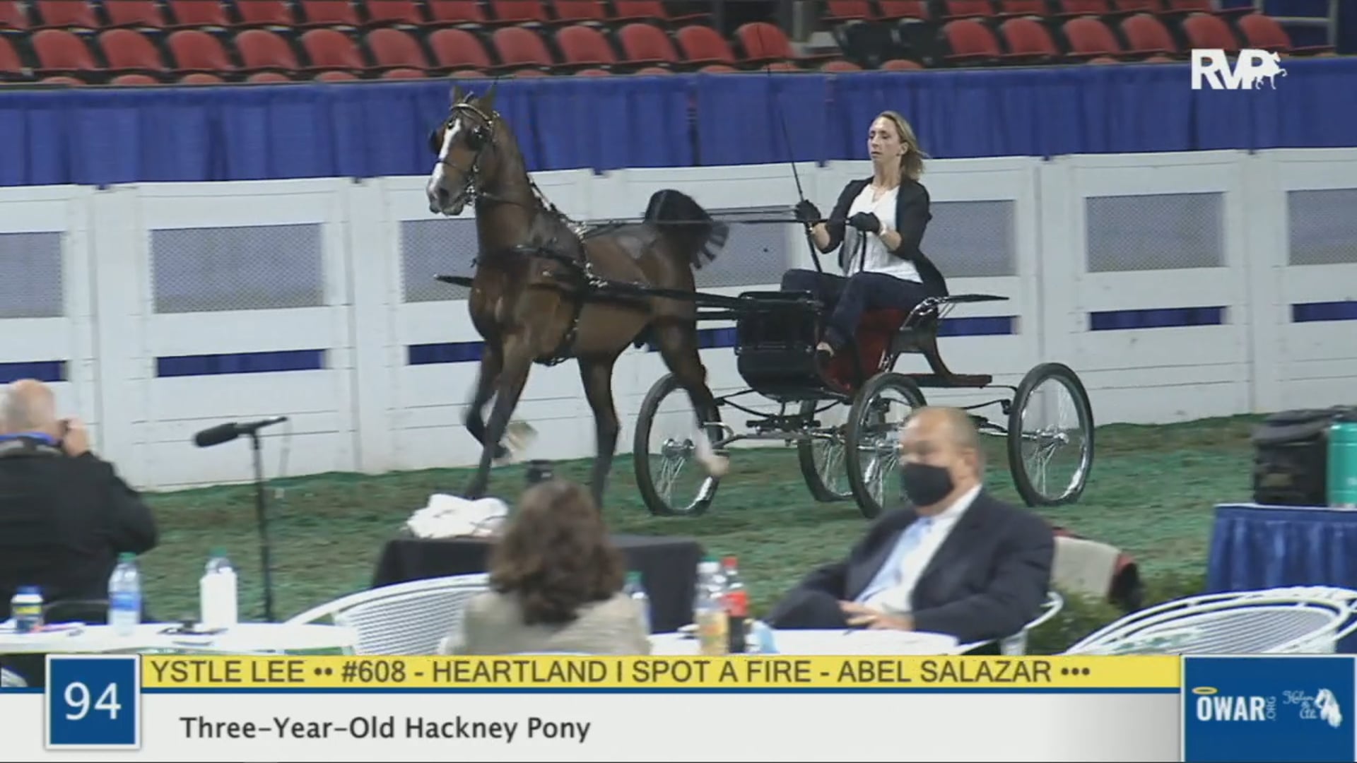 WCHS 2020 Class 94 - Three-Year-Old Hackney Pony