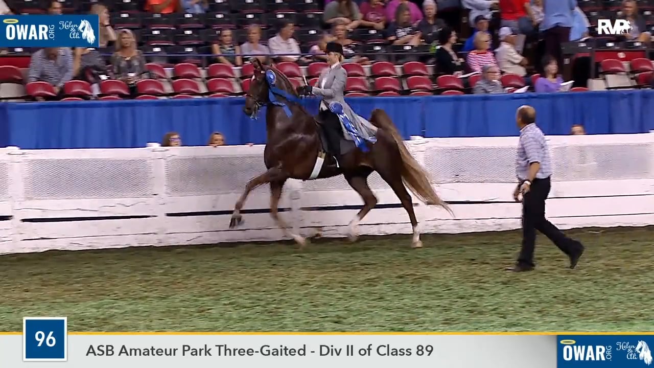 WCHS18 Class 96 - Are You JoeKing