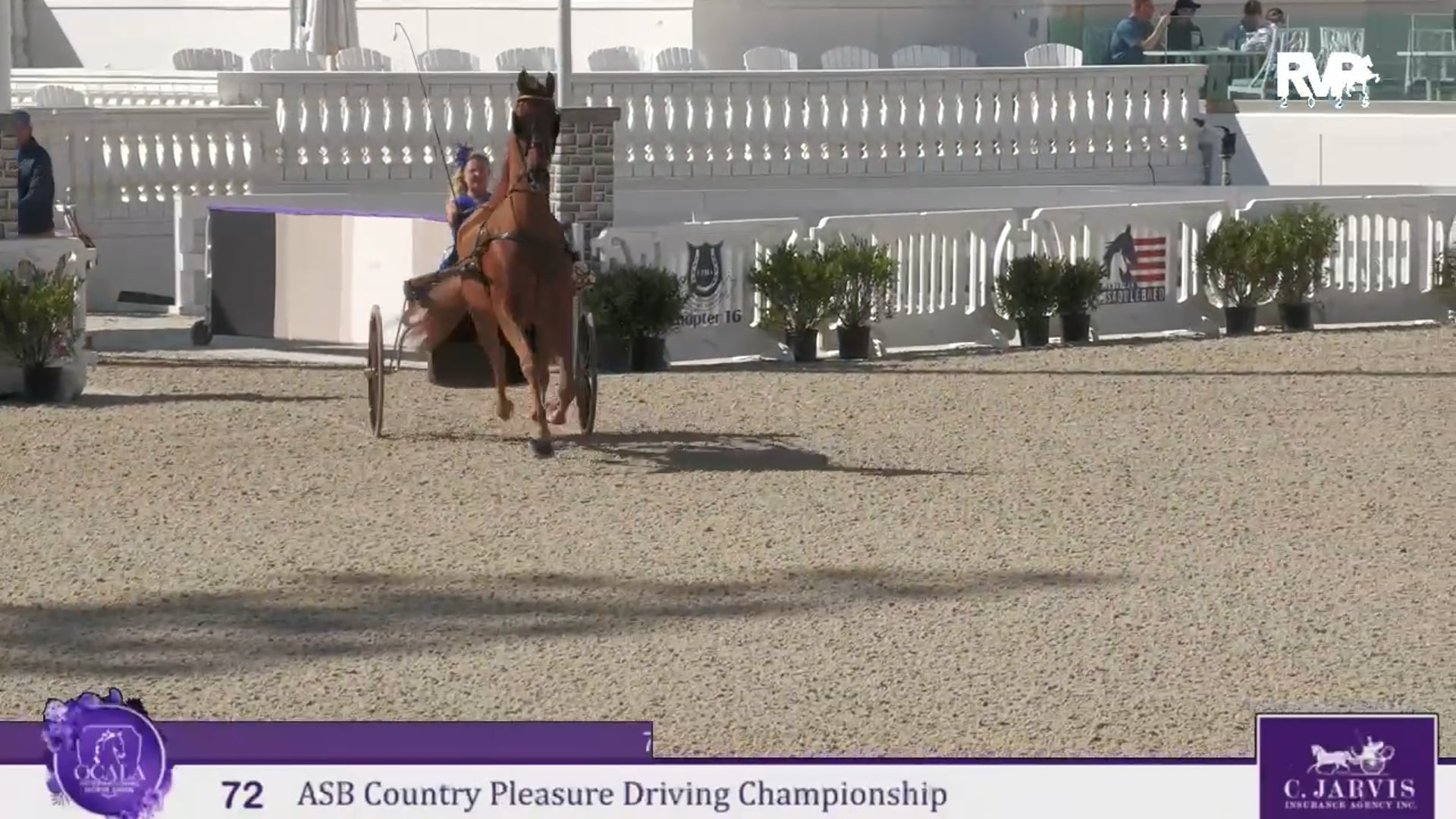 OI25 - Class 72 - ASB Country Pleasure Driving Championship