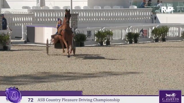 OI25 - Class 72 - ASB Country Pleasur...