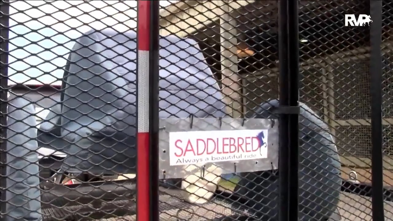 BB17 - Thursday Evening