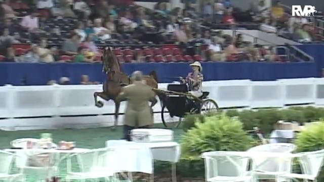 2010 World's Championship Horse Show ...