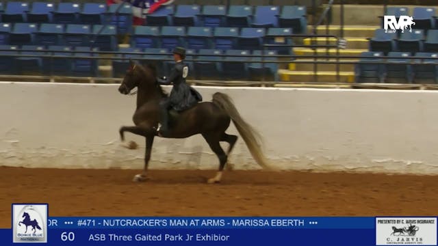 BB24 - Class 60 -  ASB Three Gaited P...