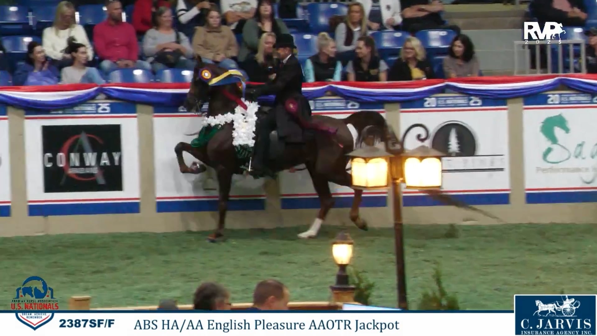 AN25 - Class 2387 - Undulata's First Love and Katie Gardner Harvey, Up