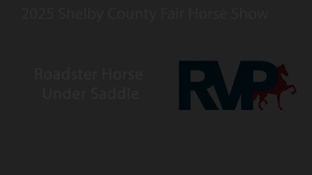 SCF25 - Classic 15.1 - Roadster Horse...