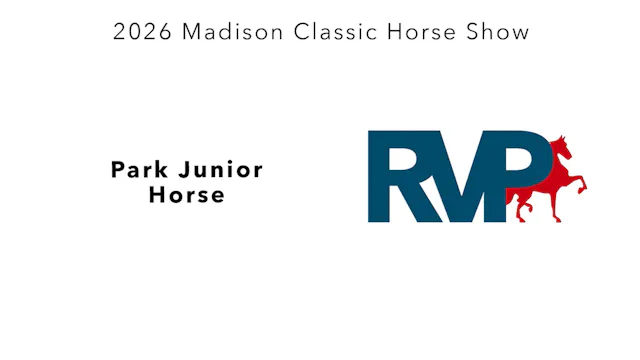 MC26 - Class 48 - Park Junior Horse
