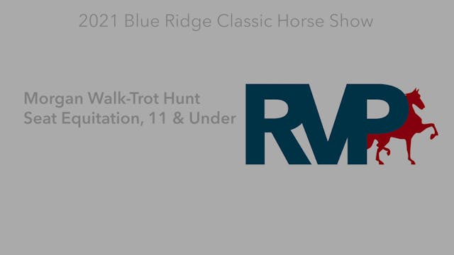 BR21 - Class 60 - Morgan Walk-Trot Hu...