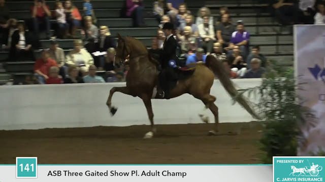 GASP17 - Happy Boy - Championship