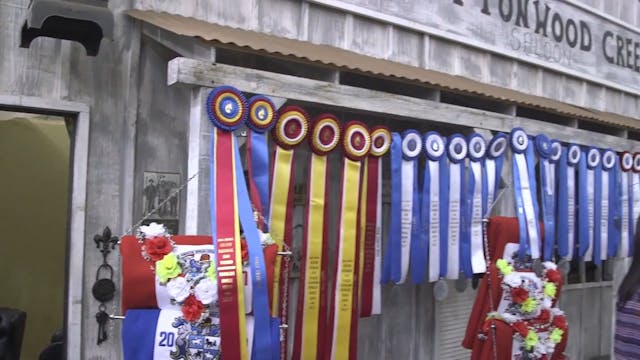 MGN17 - Rows of Ribbons