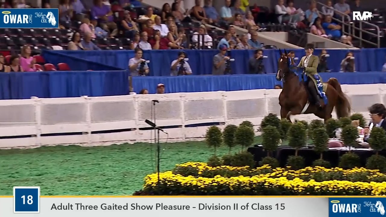 WCHS18 Class 18 - Champion His Supreme Reflection