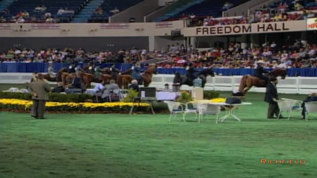 2002 WCHS Class 21 Three Gaited Show ...