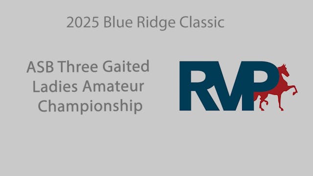 BRC25 - Class 209 - ASB Three Gaited ...