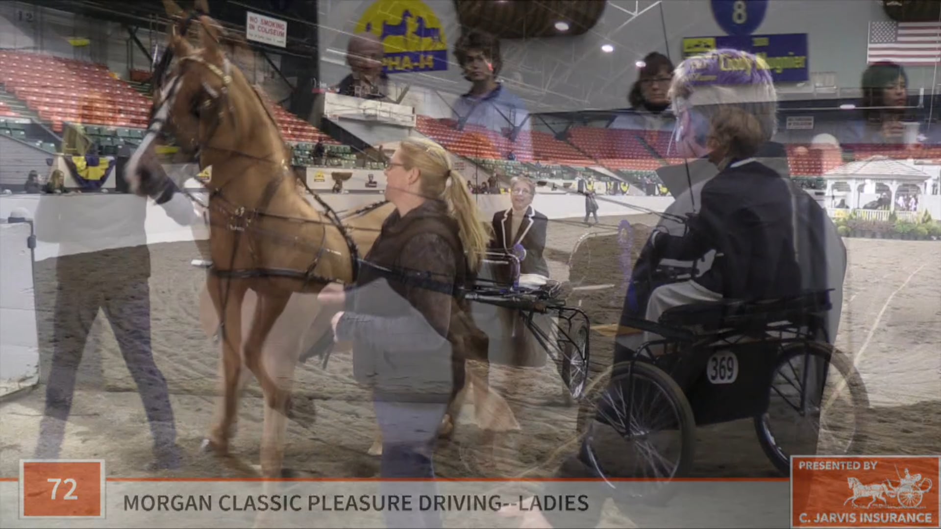 UPHA14-19 - Class 72 - Miles Of Fortune GCH