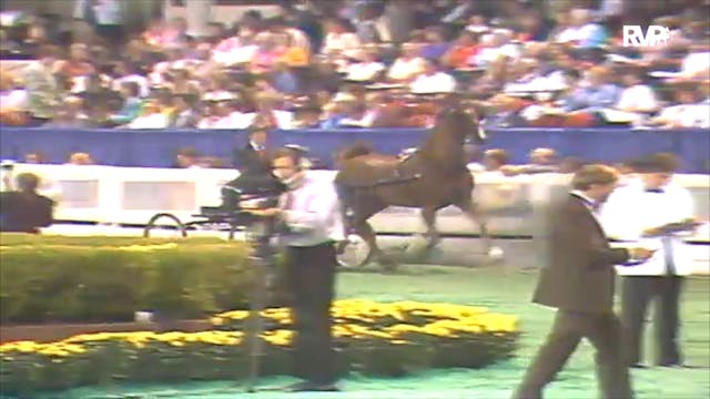 1992 WCHS Class 128 Junior Fine Harne...