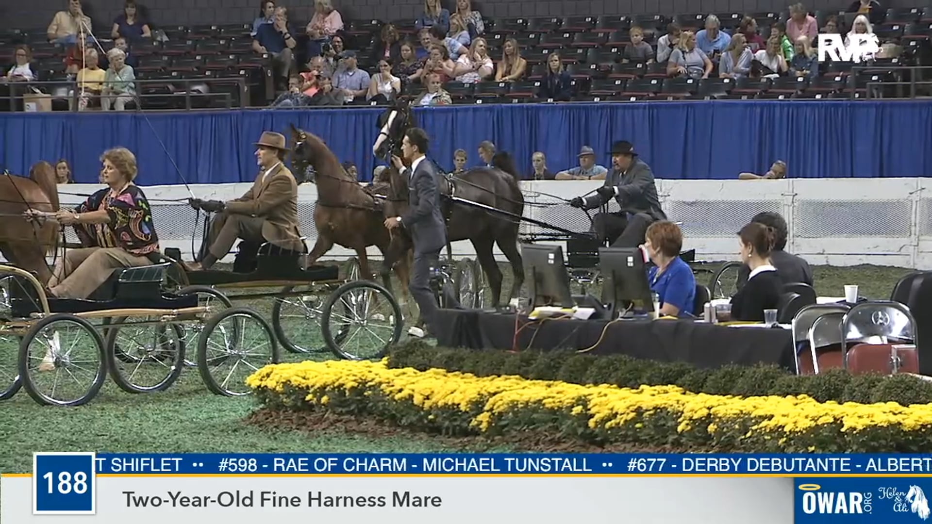 2019 WCHS - Class 188 Two Year Old Fine Harness Mare 